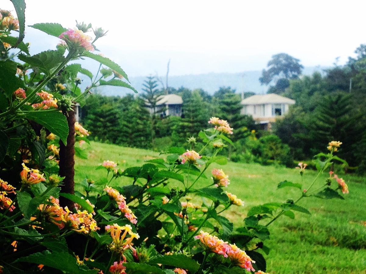 เขาใหญ่ เนเจอร์ รีทรีท Hotel Baan Wang Mi ภายนอก รูปภาพ