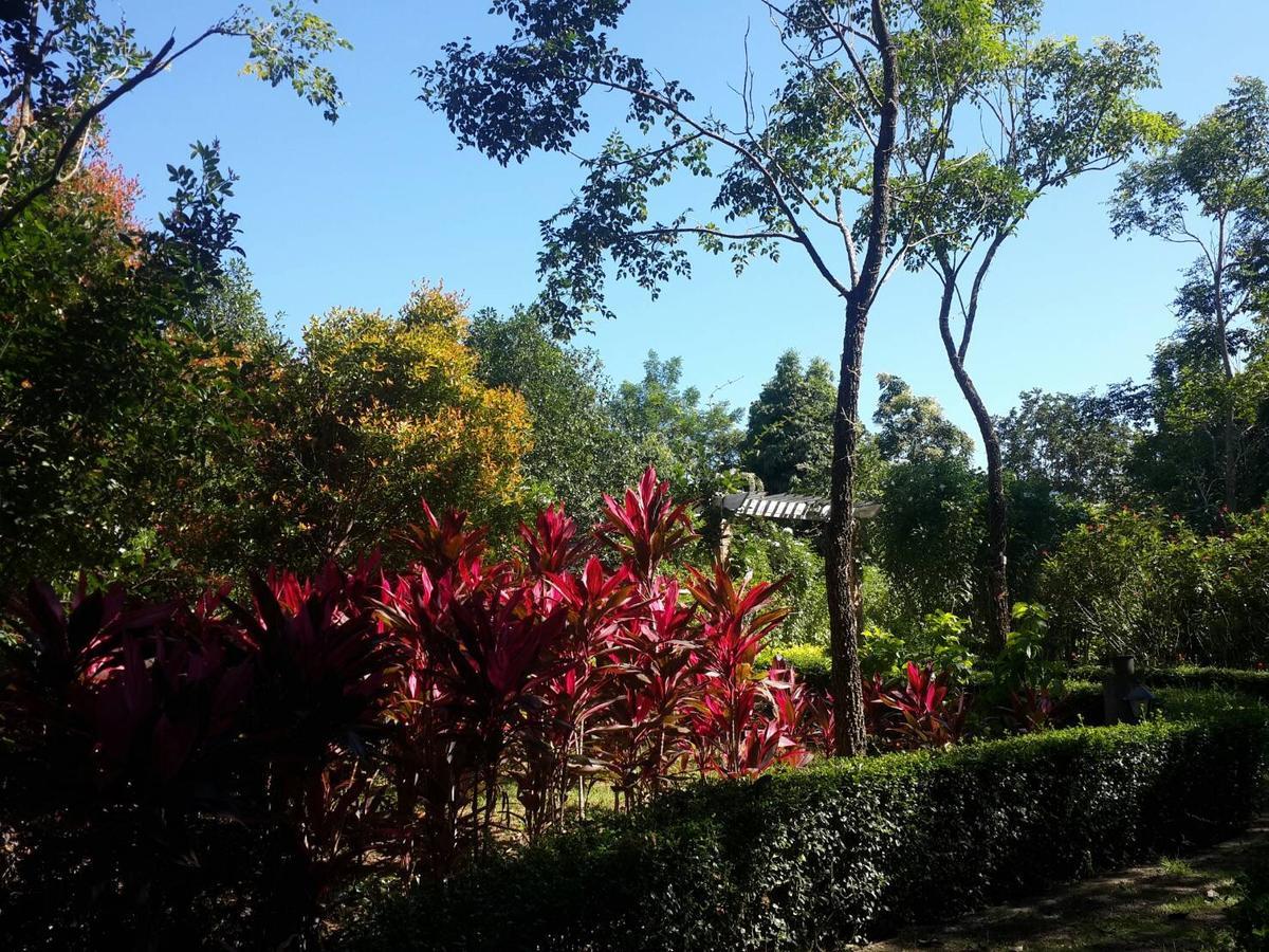 เขาใหญ่ เนเจอร์ รีทรีท Hotel Baan Wang Mi ภายนอก รูปภาพ
