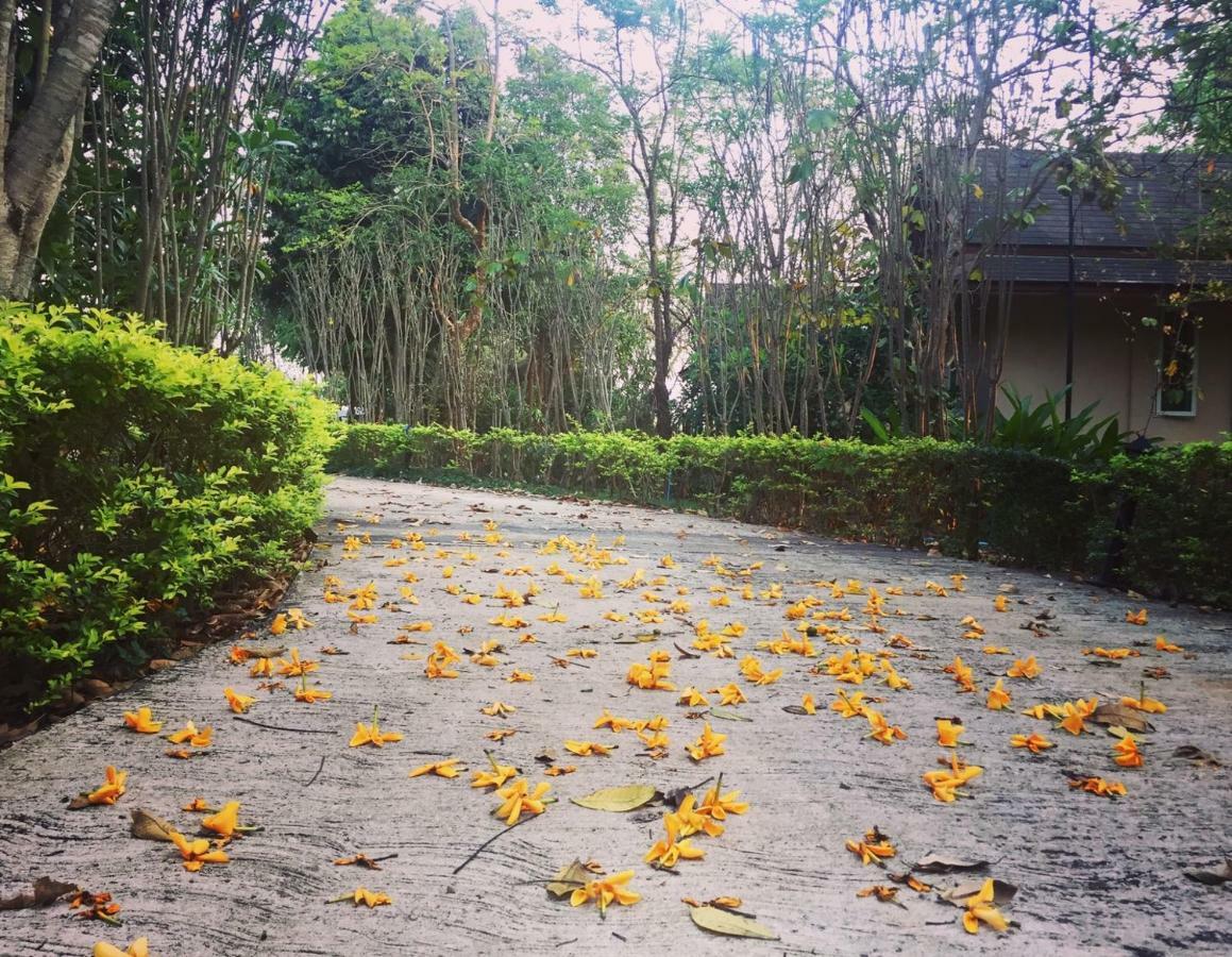 เขาใหญ่ เนเจอร์ รีทรีท Hotel Baan Wang Mi ภายนอก รูปภาพ